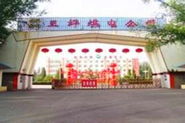 大同煤礦集團王坪煤電